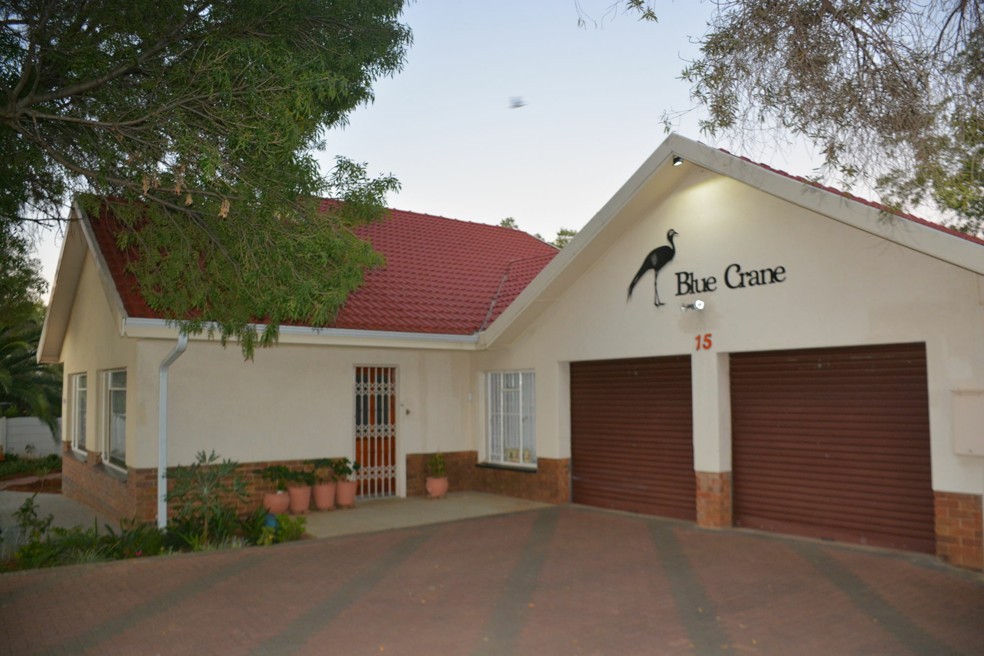Blue Crane Guest House Bloemfontein Buitenkant foto